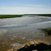 Stanpit-Marsh-2022-95