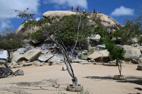 Caribbean ABC-Inseln unter dem Winde