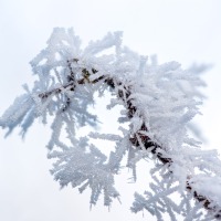 2021-12-24-16-34-51-CSmoothing4