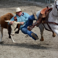 Rodeo