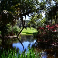 Bok Tower Garden