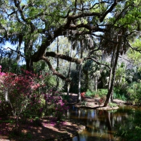 Bok Tower Garden