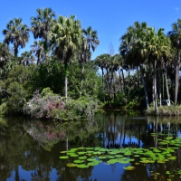 Bok Tower Garden