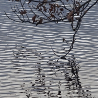 1712_Hiller_Moor_0017