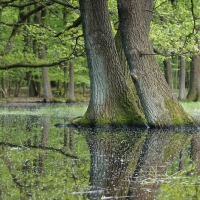 Kabökenweg April 2018