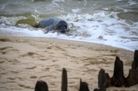Sylt Ostern 2024