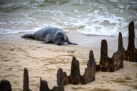 Sylt Ostern 2024