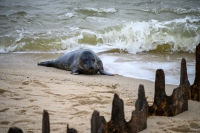Sylt Ostern 2024
