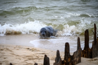 Sylt Ostern 2024