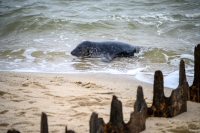 Sylt Ostern 2024