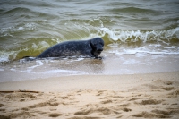 Sylt Ostern 2024