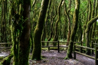 La Gomera Sommer 2026
