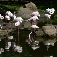 Okavango Delta