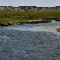 Hengistbury Head