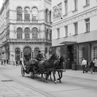 Wien-05_web