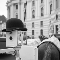 Wien-06_web