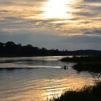 ELBE-0006