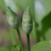 DSC_5304