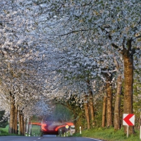 Pödinghauser Strasse 17.04.2020