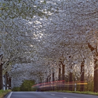 Pödinghauser Strasse 17.04.2020