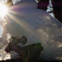 Wintereinbruch Februar 2021