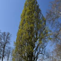 GDS_4752