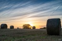 Gohfeld 21.08.2024