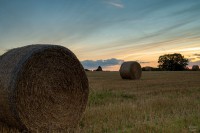 Gohfeld 21.08.2024