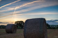 Gohfeld 21.08.2024