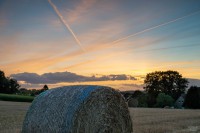 Gohfeld 21.08.2024