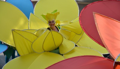 Carneval der Kulturen