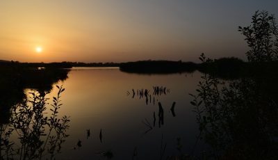 Morgens vor 8 Uhr im Hiller Moor