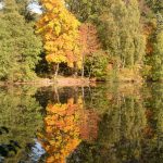 Herbstlicher Stadtwald in Lemgo