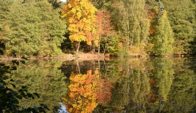 Herbstlicher Stadtwald in Lemgo