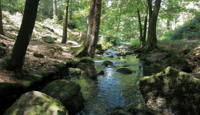 Unterwegs im…