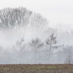 Winternebel