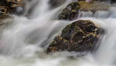 Wildbäche im Harz