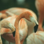 Tierpark Hagenbeck in Hamburg