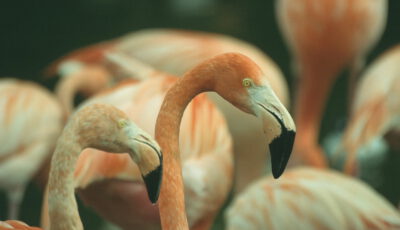 Tierpark Hagenbeck in Hamburg