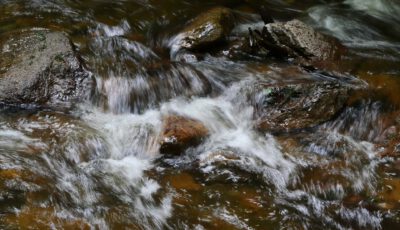 Ilsetal im Harz