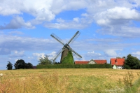 IMG_0008