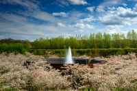 Aqua Magica 15.04.2026