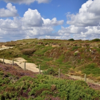 Dorset