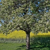 Löhne 21.04.2020