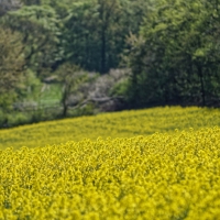 Löhne 21.04.2020