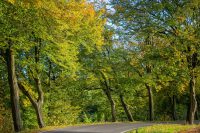 Kalletal 16.10.2024