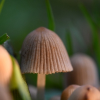 D50_9414