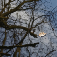 1712_Hiller_Moor_0002