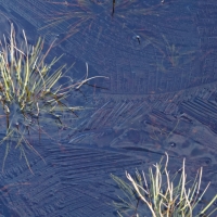 1712_Hiller_Moor_0005
