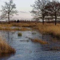 1712_Hiller_Moor_0007